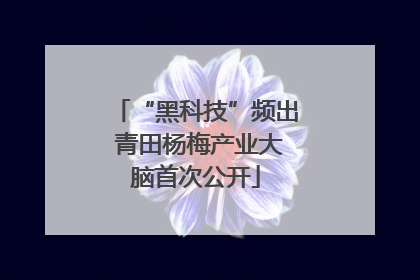 “黑科技”频出 青田杨梅产业大脑首次公开